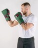 ПЕРЧАТКИ БОКСЕРСКИЕ LEADERS LS LONG VELCRO CUSTOM GN/RD/BK